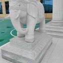 河南 白麻花岗岩动物异形石雕-大象