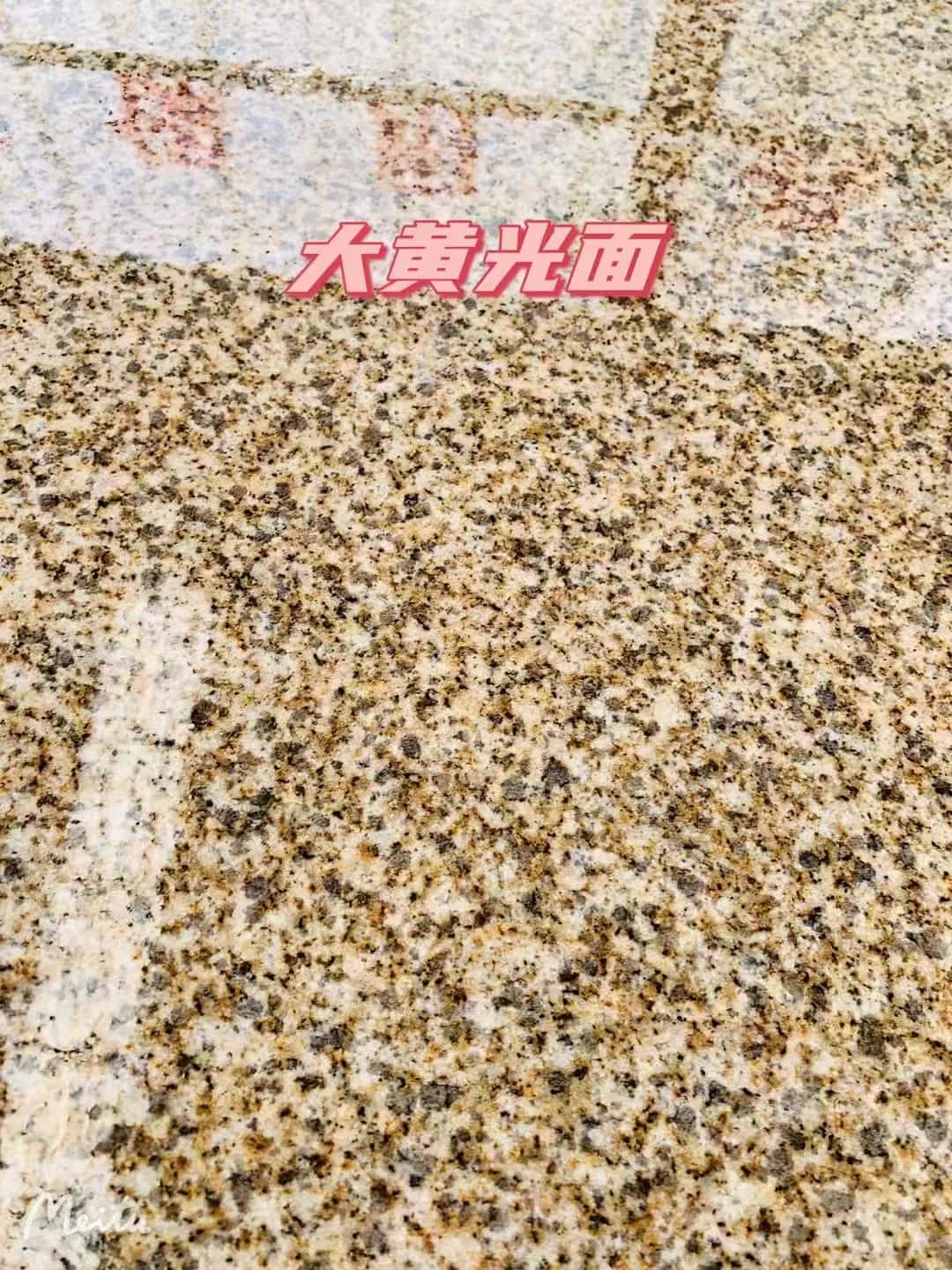 河南黄金麻大黄光面