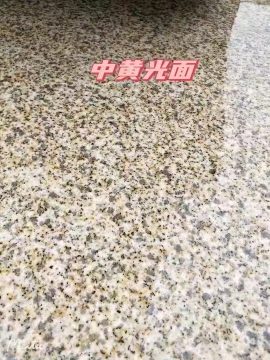 河南黄金麻中黄光面